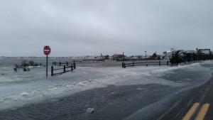 Avalon Bay Park Marina January 23rd 715am